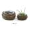 wild vine onion bowl s2 bv475 2 handles bowls trays