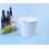 10  metal pail painted white by10 1w wholesale containers pails