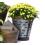 metal olive bucket deep vintage rustic by90 1 wholesale containers pails