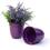 5  solid iron metal pot purple by74 1xpr wholesale containers pails