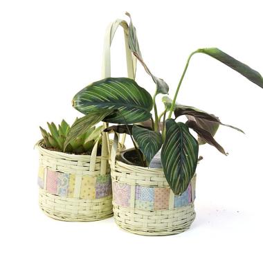 bamboo peanut shop pastel 2 4  pots so320 1w handled baskets small