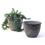 5  solid iron metal pot antique grey by75 1xgy wholesale containers