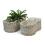 willowwoodchip peanut shape bowl large bw536 1lg handles bowls trays