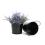 5  tin pot painted black by03 1blk wholesale metal containers pails