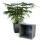 sq top wooden planter farmhouse blue pd480 1 handles bowls