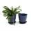 65  biodegradable pot tray navy pe07 1nb wholesale basket containers
