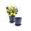 65  biodegradable pot tray navy pe07 1nb wholesale basket containers