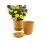 65  biodegradable pot tray orange pe07 1or wholesale basket containers
