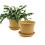 675  biodegradable pot tray orange pe03 1or wholesale basket containers
