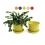 675  biodegradable pot tray yellow pe03 1y wholesale basket containers