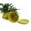 675  biodegradable pot tray yellow pe03 1y wholesale basket containers
