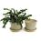 675  biodegradable pot tray cream pe03 1cr wholesale basket containers