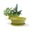 975  oval biodegradable tray yellow pe05 1y handles bowls