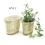 willow oval deep tray set 2 pw23 handles