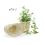 willow oval deep tray set 2 pw23 handles