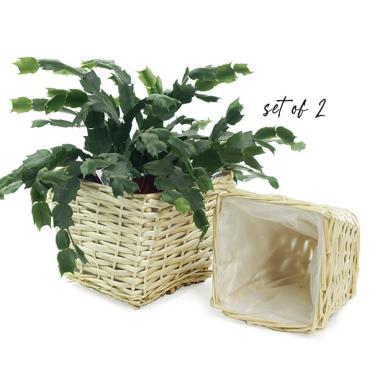 willow square top deep tray sq lining pw67 2