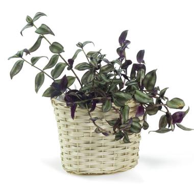 willow oval deep tray sewn lining pw23 1lg handles