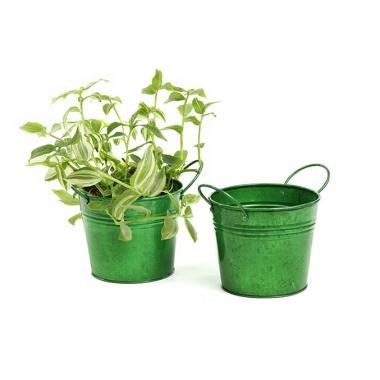 5  tin pot translucent green by03 1tgr wholesale metal containers pails