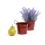 5  tin pot translucent red by03 1tr wholesale metal containers pails