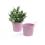 5  tin pot light pink by03 1lp wholesale metal containers pails