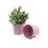 5  tin pot light pink by03 1lp wholesale metal containers pails