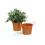5  tin pot orange by03 1or wholesale metal containers pails pots