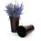 55  french bucket burgundy by885 1bdy wholesale metal containers market buckets