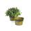 65  round tub cove antique yellow by216 1y wholesale