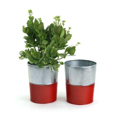6  galvanized bucket tall ribbedred base by127 1rd wholesale pot covers