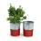 6  galvanized bucket tall ribbedred base by127 1rd wholesale pot covers