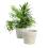 rattan pot cover 10  12  round pr10 1w wholesale basket