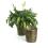 rattan pot cover 8  pr08 1s wholesale basket containers