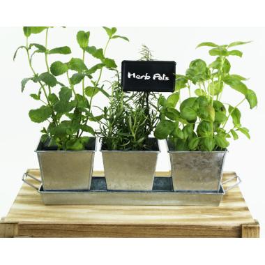 tin herb pot galvanized by42 1 wholesale metal containers pails pots rect
