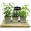 tin herb pot galvanized by42 1 wholesale metal containers pails pots rect