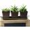 metal powder coated brown herb container by42 1br wholesale containers