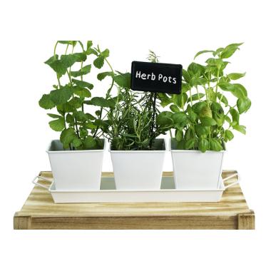 tin herb pot white by42 1w wholesale metal containers pails pots rect
