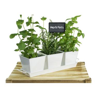 tin herb pot white by42 1w wholesale metal containers pails pots rect
