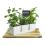 tin herb pot white by42 1w wholesale metal containers pails pots rect