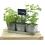 vintage herb container by42 1vin wholesale metal containers pails pots rect sq