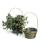 6  bamboo utility shop stained so576 1s wholesale basket containers handled baskets