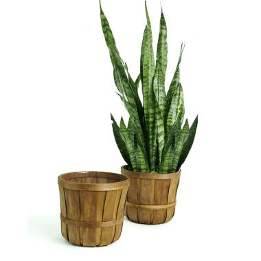 woodchip bushel basket stained pd568 1s handles bowls trays