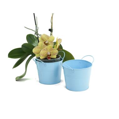 5  round tin pot light blue by03 1lb wholesale metal containers pails