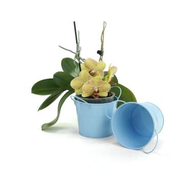 5  round tin pot light blue by03 1lb wholesale metal containers pails