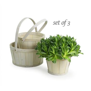 round woodchip set 3 white sd16 3w wholesale basket containers handled