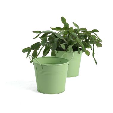 5  tin pot fern green by03 1fg wholesale metal containers pails