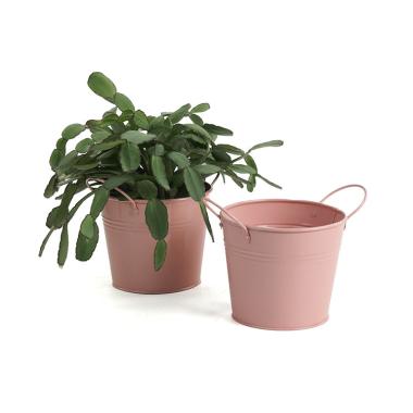 5  tin pot persimmon color by03 1pp wholesale metal containers pails