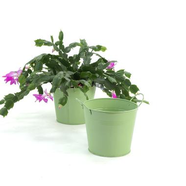65  tin pot fern green by08 1fg wholesale metal containers pails pots