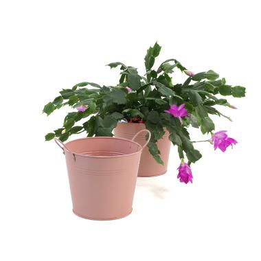 65  tin pot persimmon color by08 1pp wholesale metal containers pails pots