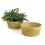 woodchip round bowl honey color extra large