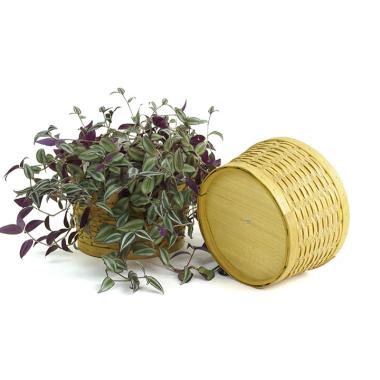 woodchip round bowl honey color large